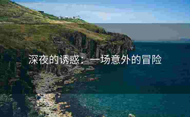 深夜的诱惑：一场意外的冒险