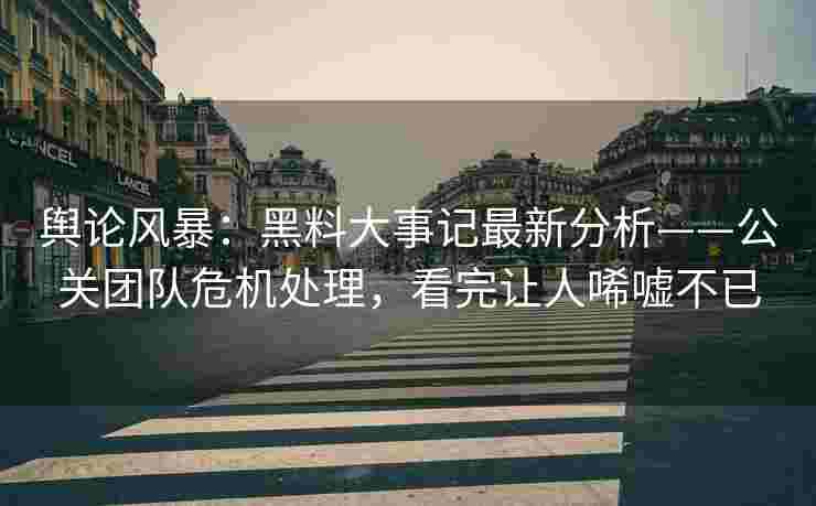 舆论风暴：黑料大事记最新分析——公关团队危机处理，看完让人唏嘘不已
