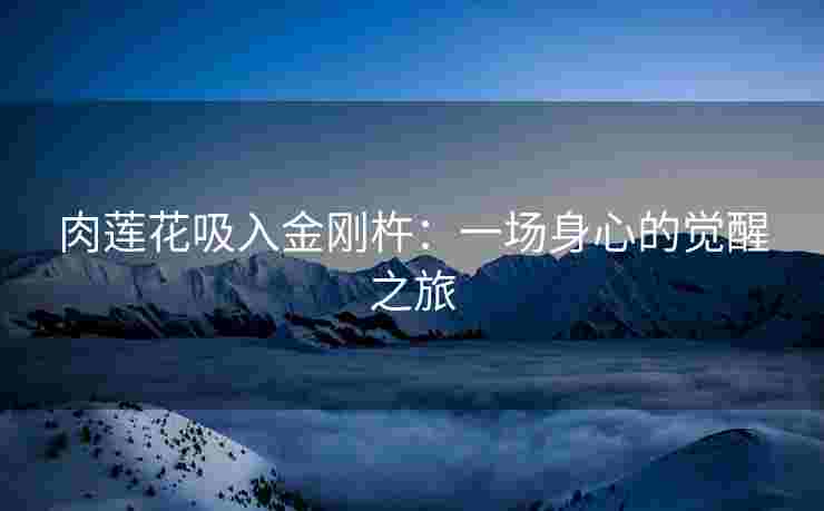 肉莲花吸入金刚杵：一场身心的觉醒之旅