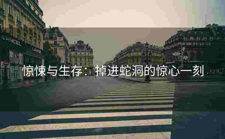惊悚与生存：掉进蛇洞的惊心一刻