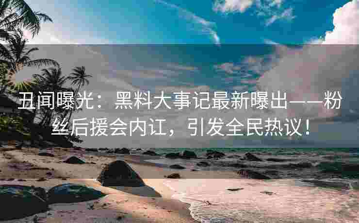 丑闻曝光：黑料大事记最新曝出——粉丝后援会内讧，引发全民热议！