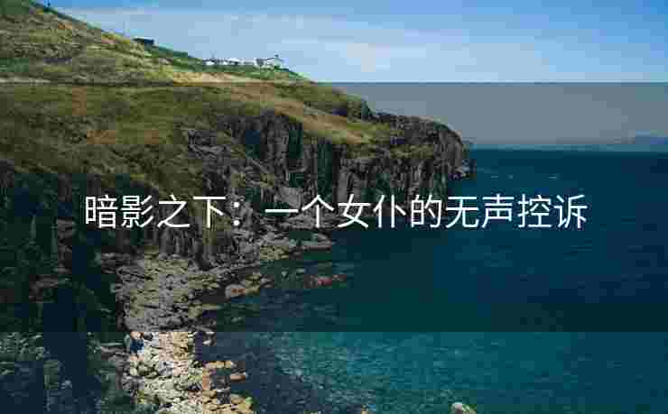 暗影之下：一个女仆的无声控诉