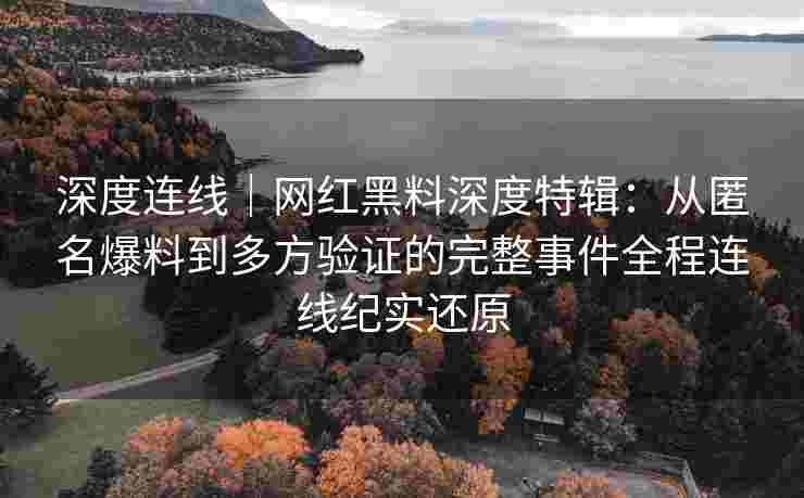 深度连线｜网红黑料深度特辑：从匿名爆料到多方验证的完整事件全程连线纪实还原