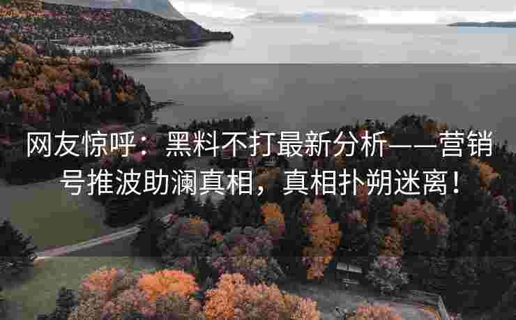 网友惊呼：黑料不打最新分析——营销号推波助澜真相，真相扑朔迷离！